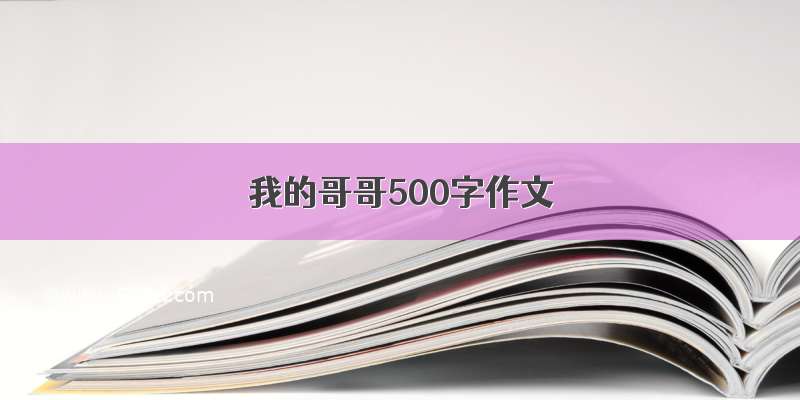 我的哥哥500字作文