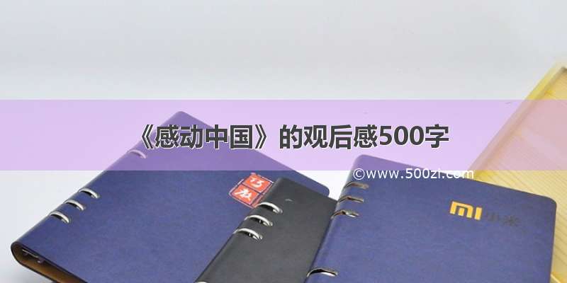 《感动中国》的观后感500字