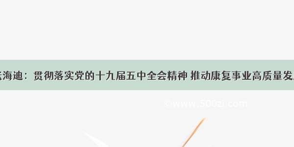 张海迪：贯彻落实党的十九届五中全会精神 推动康复事业高质量发展