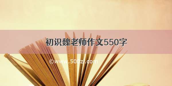 初识魏老师作文550字