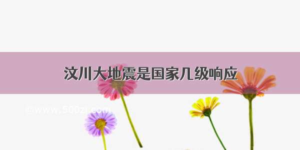 汶川大地震是国家几级响应