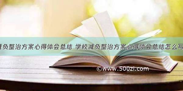 学校减负整治方案心得体会总结 学校减负整治方案心得体会总结怎么写(8篇)