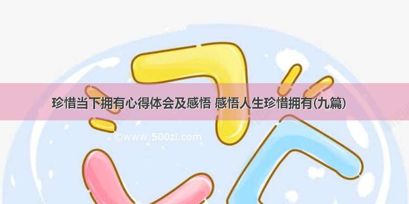 珍惜当下拥有心得体会及感悟 感悟人生珍惜拥有(九篇)