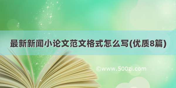 最新新闻小论文范文格式怎么写(优质8篇)