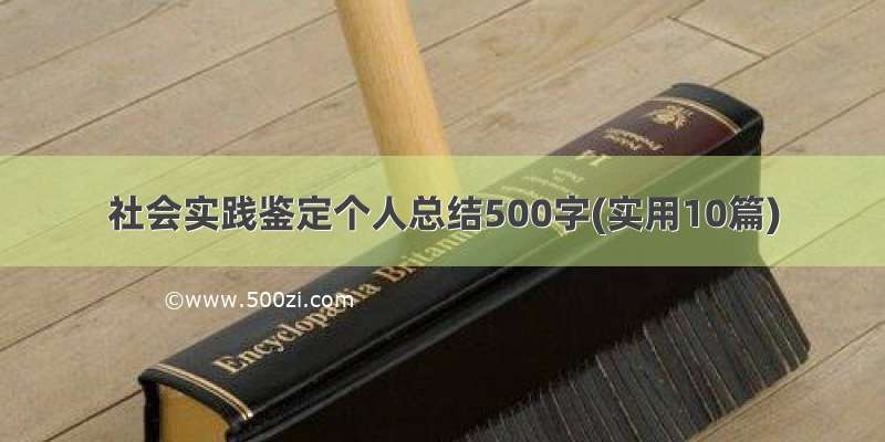 社会实践鉴定个人总结500字(实用10篇)