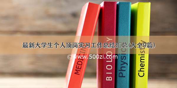 最新大学生个人顶岗实习工作总结汇总(大全9篇)