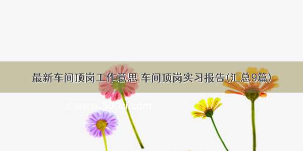 最新车间顶岗工作意思 车间顶岗实习报告(汇总9篇)