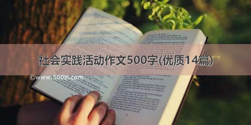 社会实践活动作文500字(优质14篇)