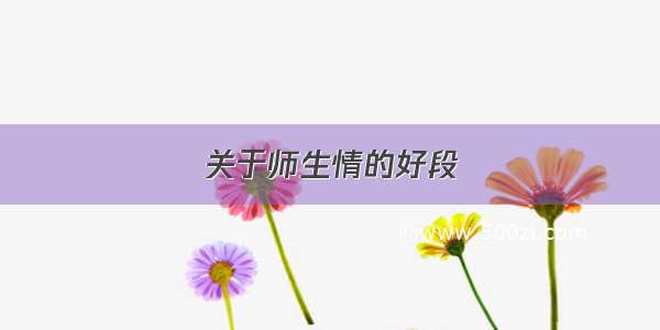 关于师生情的好段