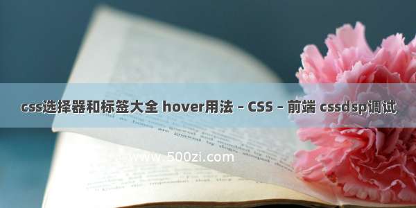 css选择器和标签大全 hover用法 – CSS – 前端 cssdsp调试