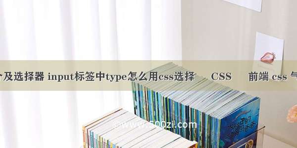 css简介及选择器 input标签中type怎么用css选择 – CSS – 前端 css 气泡动画