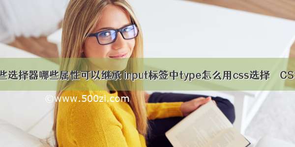 css有哪些选择器哪些属性可以继承 input标签中type怎么用css选择 – CSS – 前端