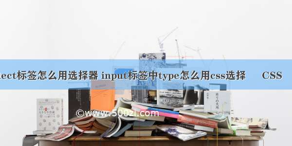 css中select标签怎么用选择器 input标签中type怎么用css选择 – CSS – 前端 汽