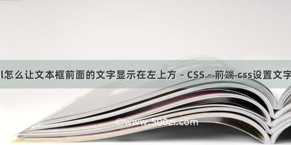 html怎么让文本框前面的文字显示在左上方 – CSS – 前端 css设置文字竖排