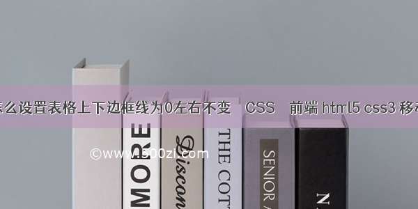 html怎么设置表格上下边框线为0左右不变 – CSS – 前端 html5 css3 移动开发