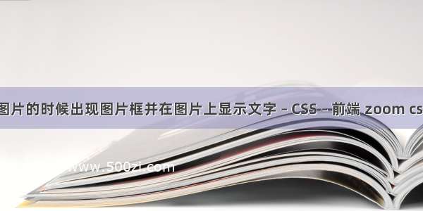 鼠标点击图片的时候出现图片框并在图片上显示文字 – CSS – 前端 zoom css什么意思