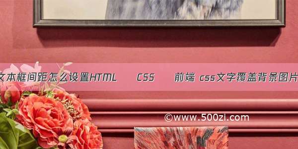 文本框间距怎么设置HTML – CSS – 前端 css文字覆盖背景图片