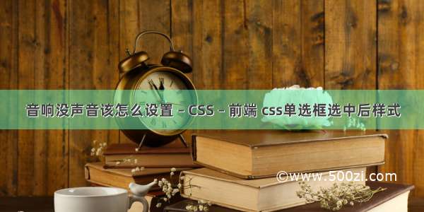 音响没声音该怎么设置 – CSS – 前端 css单选框选中后样式