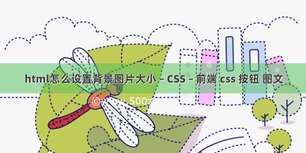 html怎么设置背景图片大小 – CSS – 前端 css 按钮 图文