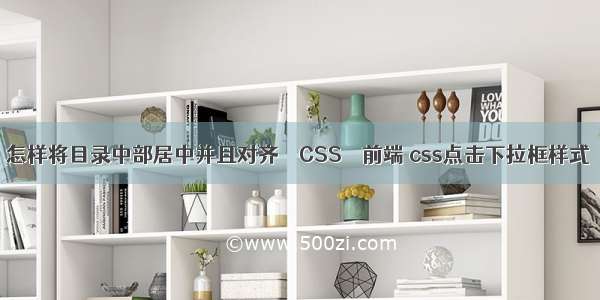 怎样将目录中部居中并且对齐 – CSS – 前端 css点击下拉框样式