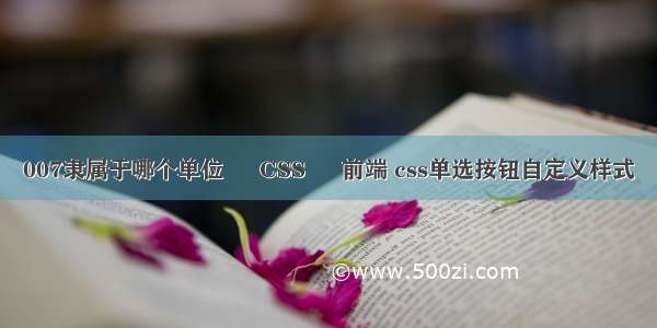 007隶属于哪个单位 – CSS – 前端 css单选按钮自定义样式