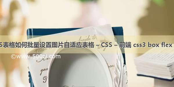 WPS表格如何批量设置图片自适应表格 – CSS – 前端 css3 box flex 边距