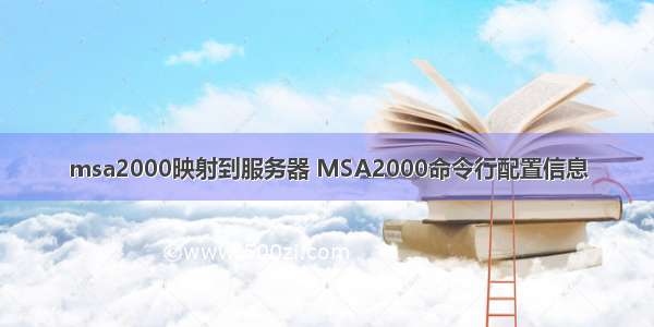 msa2000映射到服务器 MSA2000命令行配置信息