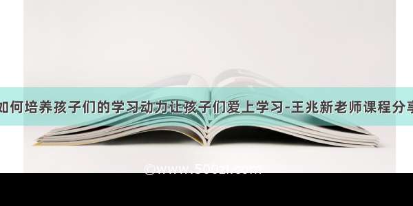 如何培养孩子们的学习动力让孩子们爱上学习-王兆新老师课程分享