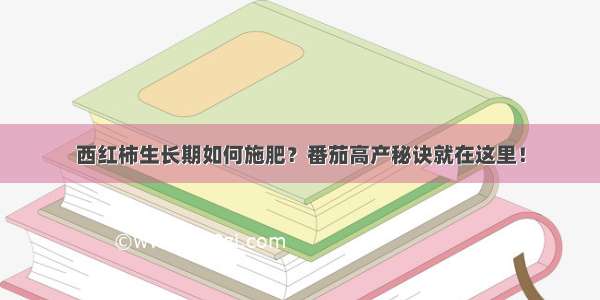 西红柿生长期如何施肥？番茄高产秘诀就在这里！