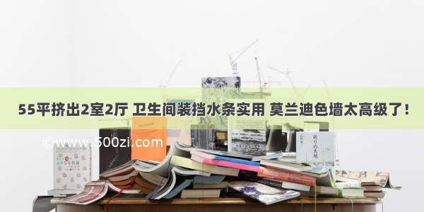 55平挤出2室2厅 卫生间装挡水条实用 莫兰迪色墙太高级了！