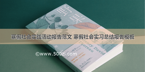 寒假社会实践活动报告范文 寒假社会实习总结报告模板