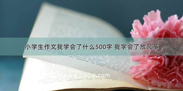 小学生作文我学会了什么500字 我学会了放风筝