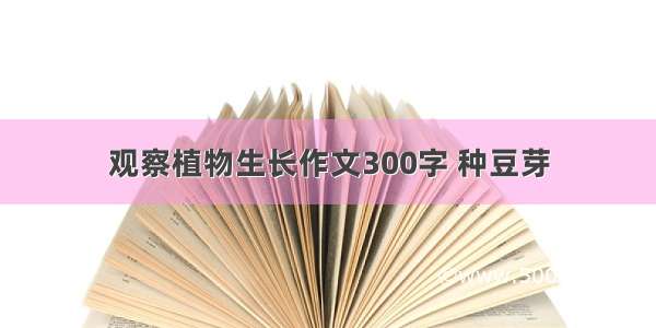 观察植物生长作文300字 种豆芽