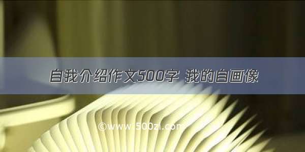 自我介绍作文500字 我的自画像