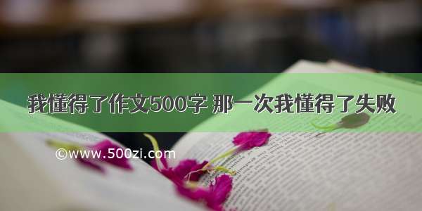 我懂得了作文500字 那一次我懂得了失败