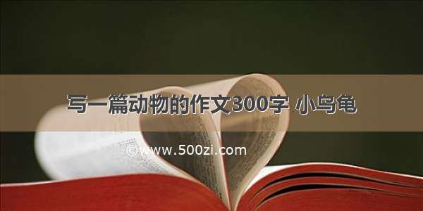 写一篇动物的作文300字 小乌龟