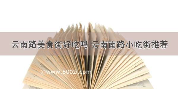 云南路美食街好吃吗 云南南路小吃街推荐