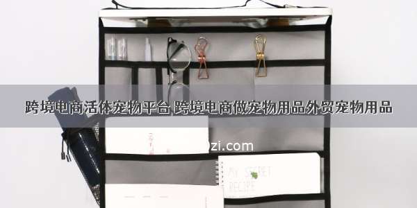 跨境电商活体宠物平台 跨境电商做宠物用品外贸宠物用品