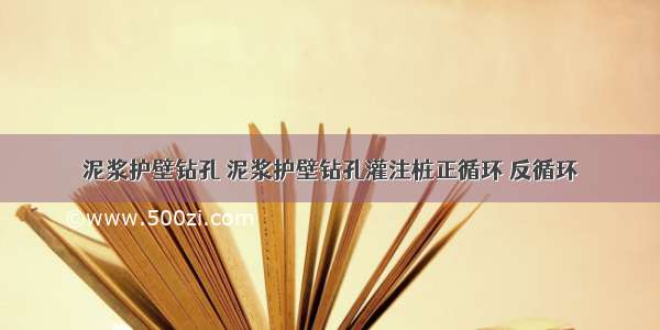 泥浆护壁钻孔 泥浆护壁钻孔灌注桩正循环 反循环