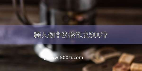 跨入初中的我作文500字