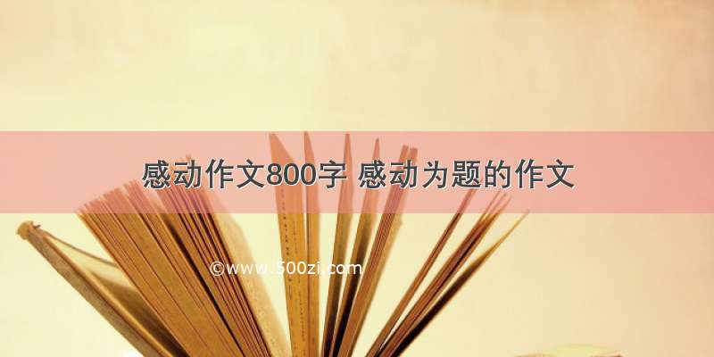 感动作文800字 感动为题的作文