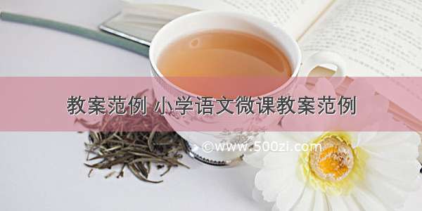 教案范例 小学语文微课教案范例