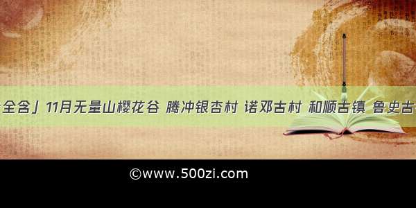 「一口价全含」11月无量山樱花谷 腾冲银杏村 诺邓古村 和顺古镇 鲁史古镇 琢木郎