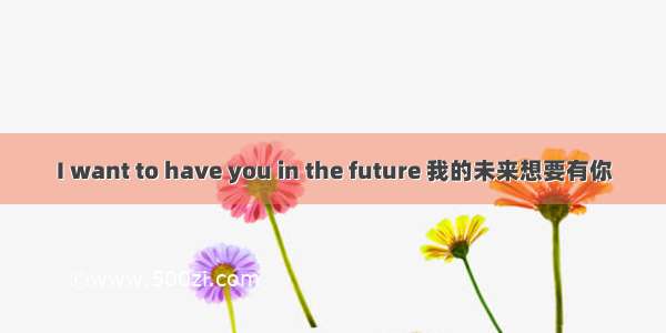 I want to have you in the future 我的未来想要有你