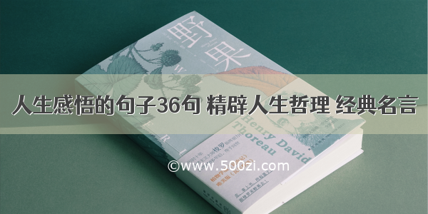 人生感悟的句子36句 精辟人生哲理 经典名言