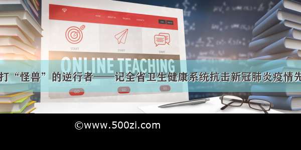 防疫路上勇打“怪兽”的逆行者——记全省卫生健康系统抗击新冠肺炎疫情先进个人张敏