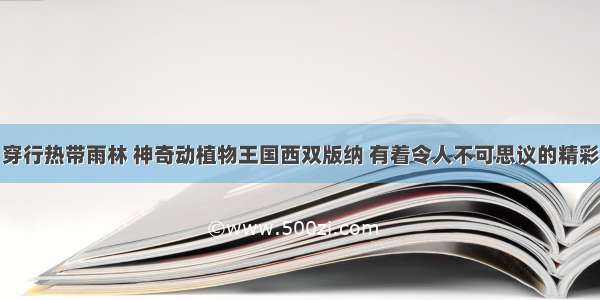 穿行热带雨林 神奇动植物王国西双版纳 有着令人不可思议的精彩