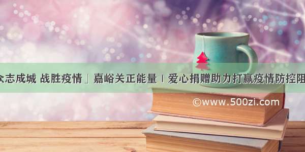 「众志成城 战胜疫情」嘉峪关正能量｜爱心捐赠助力打赢疫情防控阻击战