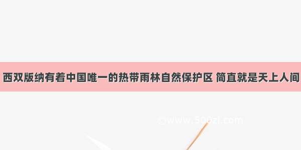 西双版纳有着中国唯一的热带雨林自然保护区 简直就是天上人间