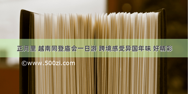 正月里 越南同登庙会一日游 跨境感受异国年味 好精彩